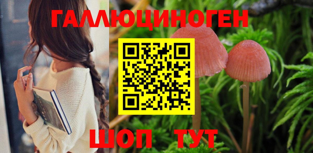 Псилоцибиновые грибы Magic Shrooms  Вход с VPN  Протвино 